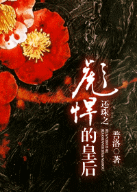 综琼瑶还珠同人:《还珠之彪悍的皇后》 虐脑残的故事