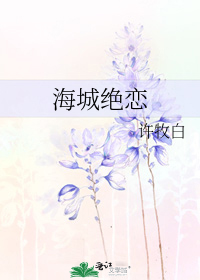 《海城绝恋》，师生恋，校园言情文