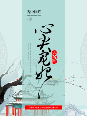 《四爷的心尖宠妃》,清穿宫斗文,女主有颜,比较受宠