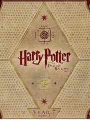 HP同人魔法小说推荐！好看的《哈利波特与巫师阶级》