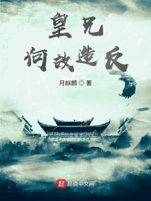 《皇兄何故造反?》,权谋历史重生文,创意不错,可看