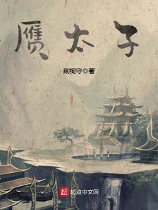 男主穿越仙侠小说:《赝太子》 系统气运流