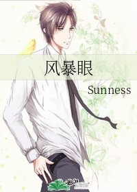 《风暴眼》Sunness，心理学悬疑，现代言情小说，好看强推！